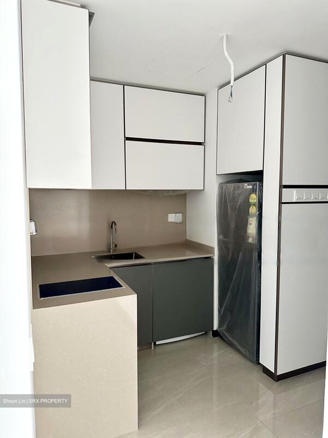 Normanton Park (D5), Apartment #452406151